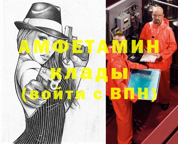 прущие грибы Волосово