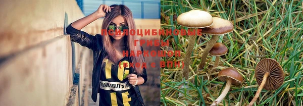 ГАЛЛЮЦИНОГЕННЫЕ ГРИБЫ Володарск