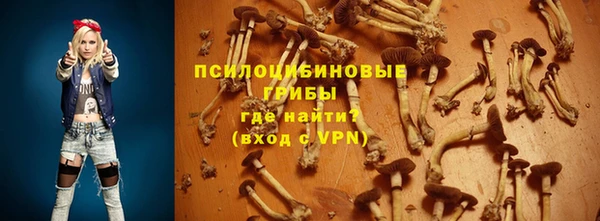 прущая мука Верея