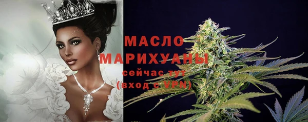 молекула духа Волоколамск